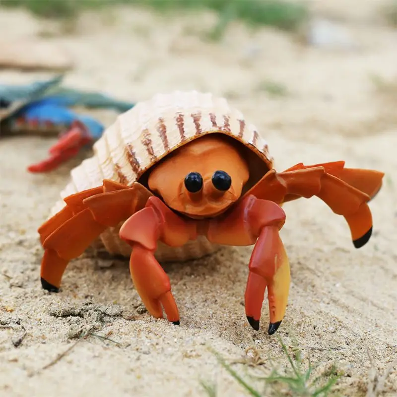 

Sea Lifes Hermit Crab Model Toy Simulation Figure Educational Toy for Kids Gift M89C