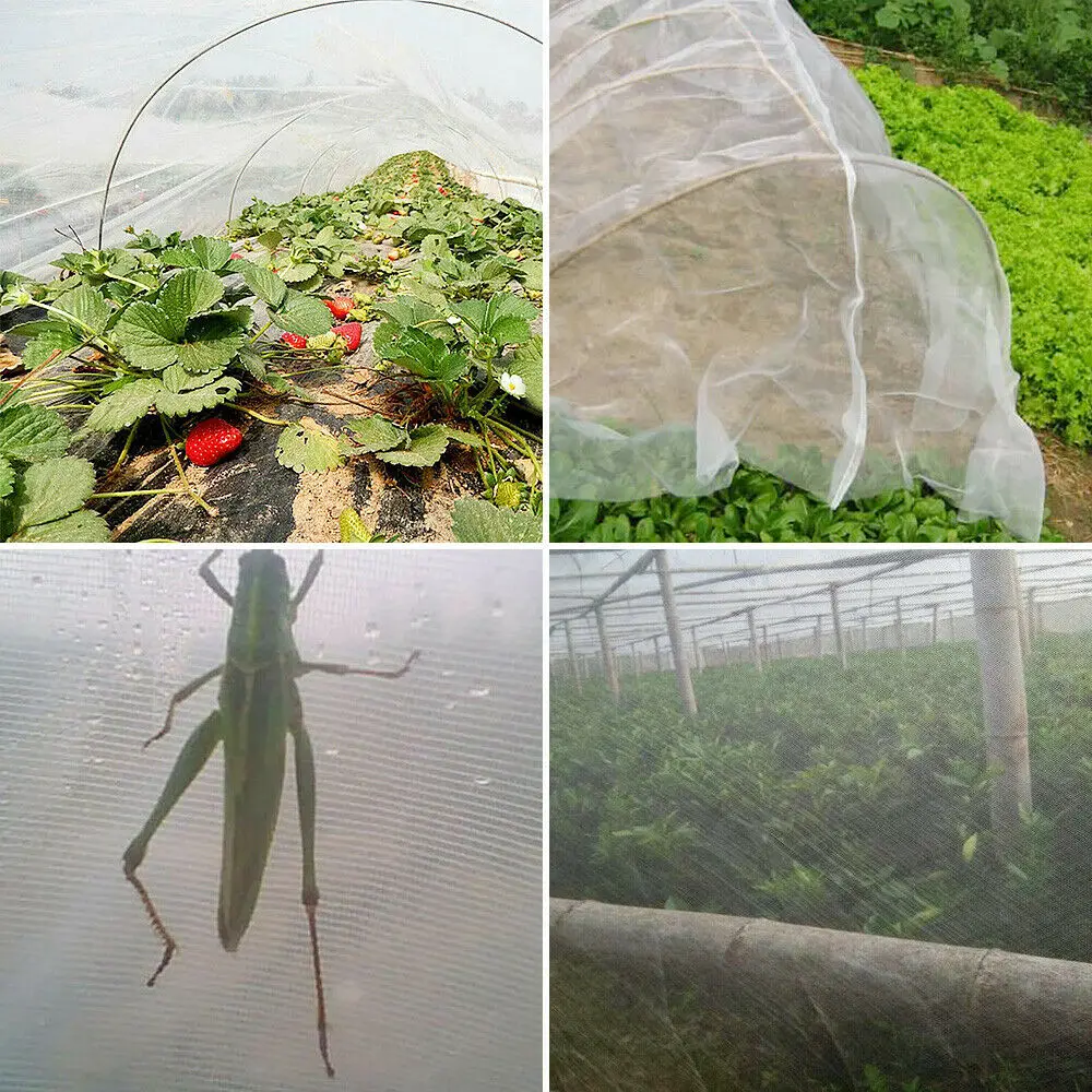 

Mosquito Bug Insect Netting Anti Bird Pest Garden Plant Protective for Garden Vegetable and Fruit Protection 10*10Ft