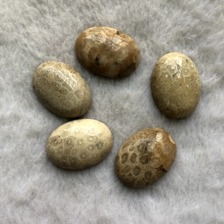 Акция! 2 шт. 100% натуральная Коралловая ископаемая яшма бисер кабошон 22x30 мм