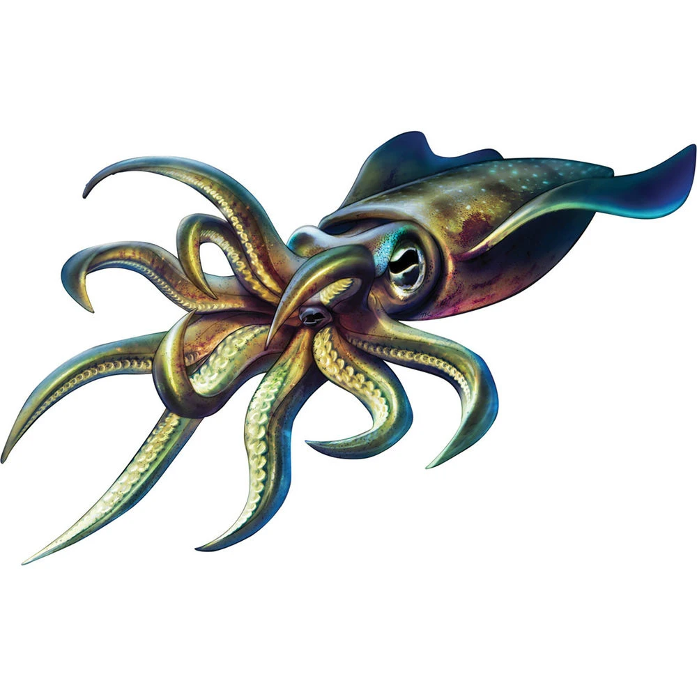 

Squid Fishing Sunscreen Waterproof Creative Color Car Motorcycle Exterior PVC Decals 16cm * 16cm