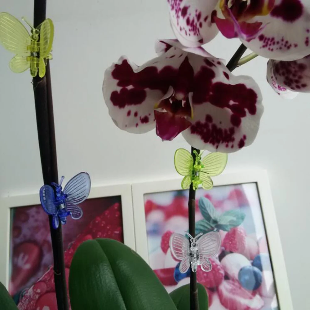 30 шт./лот зажимы для орхидеи в виде бабочек растений поддержки сада цветов лозы 3