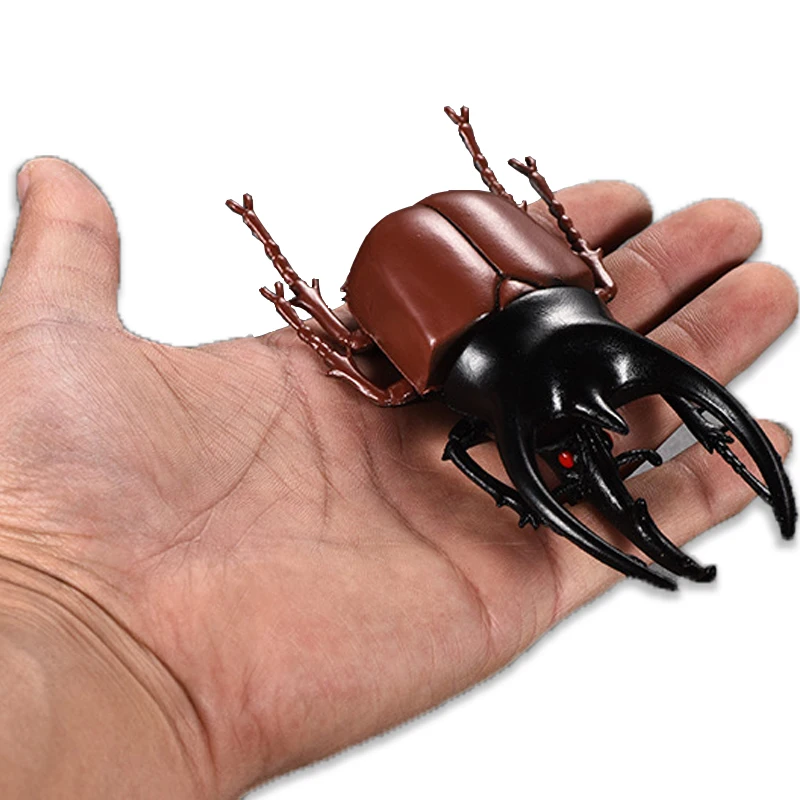 

6pcs 14cm Simulation Beetles Lifelike Insect Model Solid Toy Vivid Beetle Nursery teaching Boys Gift Halloween DIY Decoration