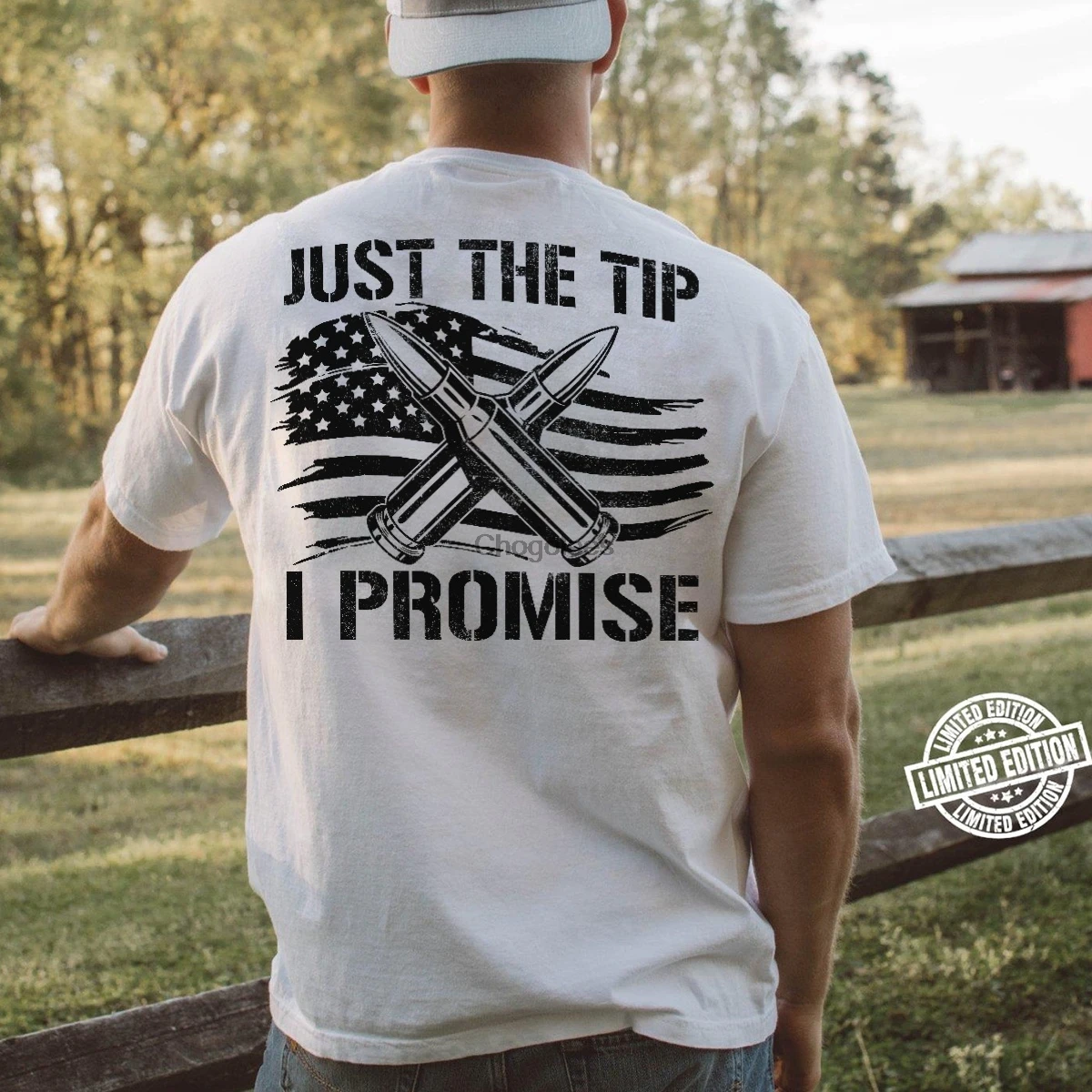 Просто наконечник я обещаю пуля американский флаг подарок на день ветерана