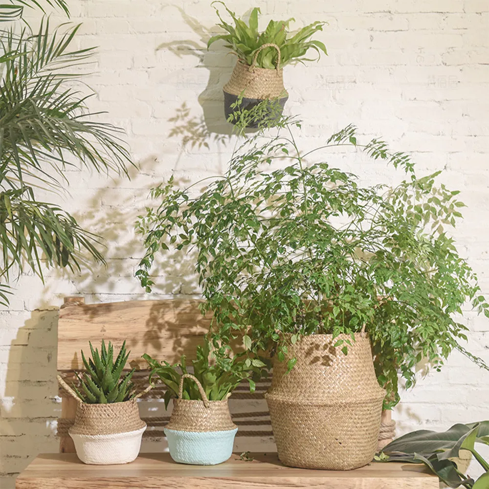 Manual storage basket collapsible laundry straw patch wicker vine seaweed belly garden flowerpot bamboo Maceta de flores | Дом и сад