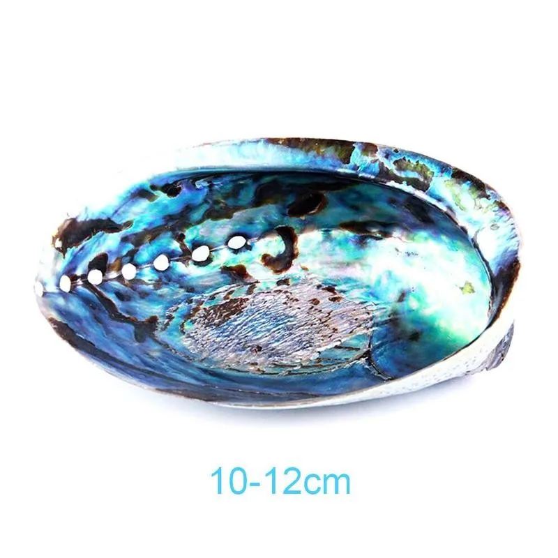 1pc 9-12cm Natural Bright Shiny Abalone Shell Nautical Blue Decor Seashells Fish Tank Aquarium Decoration Shells | Дом и сад