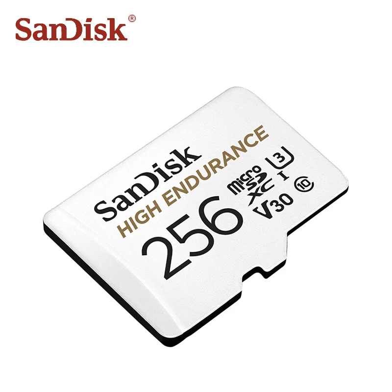SanDisk карта вождения 32 Гб 64 Гб 128 ГБ 256 ГБ высокая выносливость Micro SD карта C10 V30 карта памяти TF карты видео мониторинг