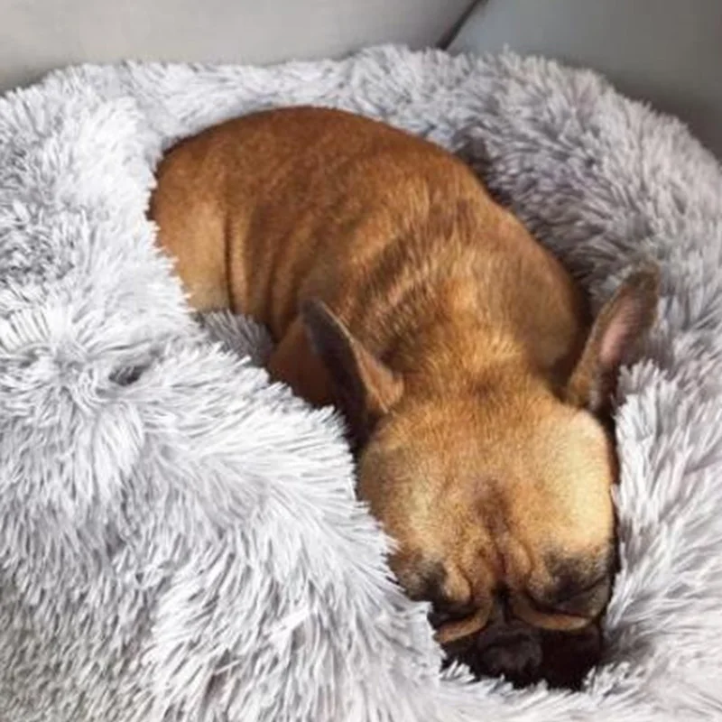 Soft Warm Round Pet Cat Bed Comfy Calming Dog Beds Washable r Large Medium Small Comfortable Kennel Easy To Clean Pet Nest House