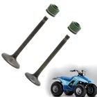 Комплект впускных и выпускных клапанов для Yamaha YFM125G, гризли 125, 2004, 2005, 2006, 2007, 2008, 2009, 2010, 2011, YFA1 Breeze 1989-2004