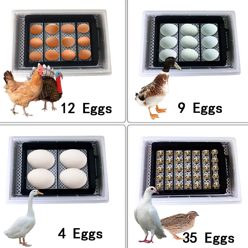 

Newest Best Farm Hatchery Machine 12egg Hatchers Cheap Price Chicken Automatic Egg Incubator China For Sale Quail Brooder