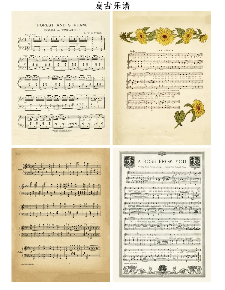 4 шт./упак. А5 винтажные растения садовый материал бумага для творчества