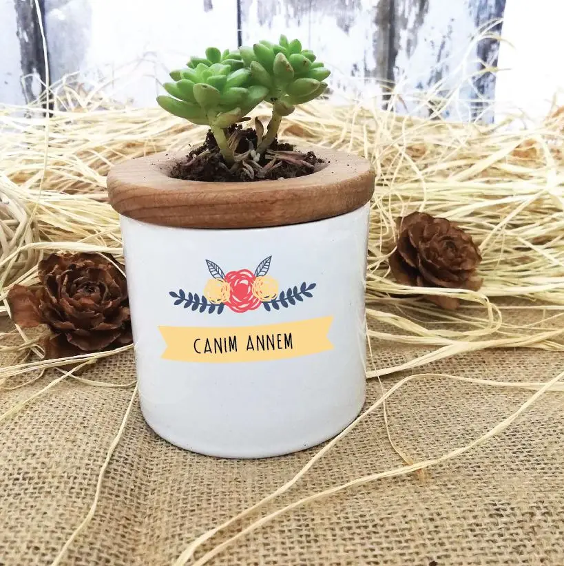 

Dear Mom Design Custom Vivid Sukulent -10 In Pots