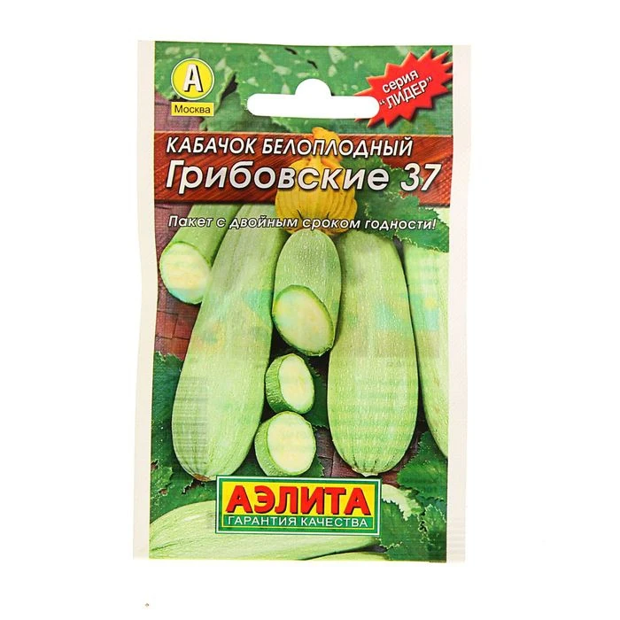 Seeds of Zucchini white-fruited Gribovskie 37 Leader . 1.5 g. 1731697 Garden Sowing Supplies vegetables Botany Flowers Home | Дом и сад