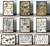 popular science decorative painting early education feathers of birds specimens atlas art painting retro poster kraft paper