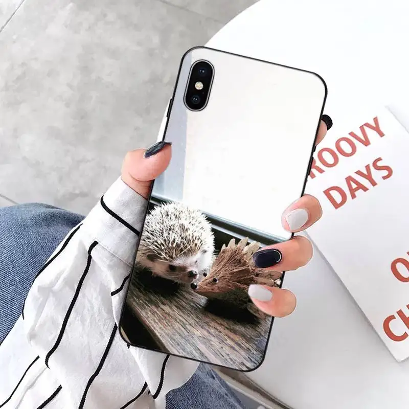 

Cute little hedgehog Phone Cases for iPhone 11 12 pro XS MAX 8 7 6 6S Plus X 5S SE 2020 XR mini