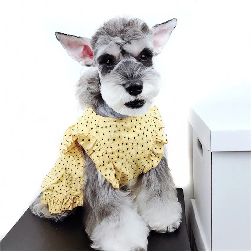 Модное платье для собак и щенков летняя крутая юбка повязка волос маленьких