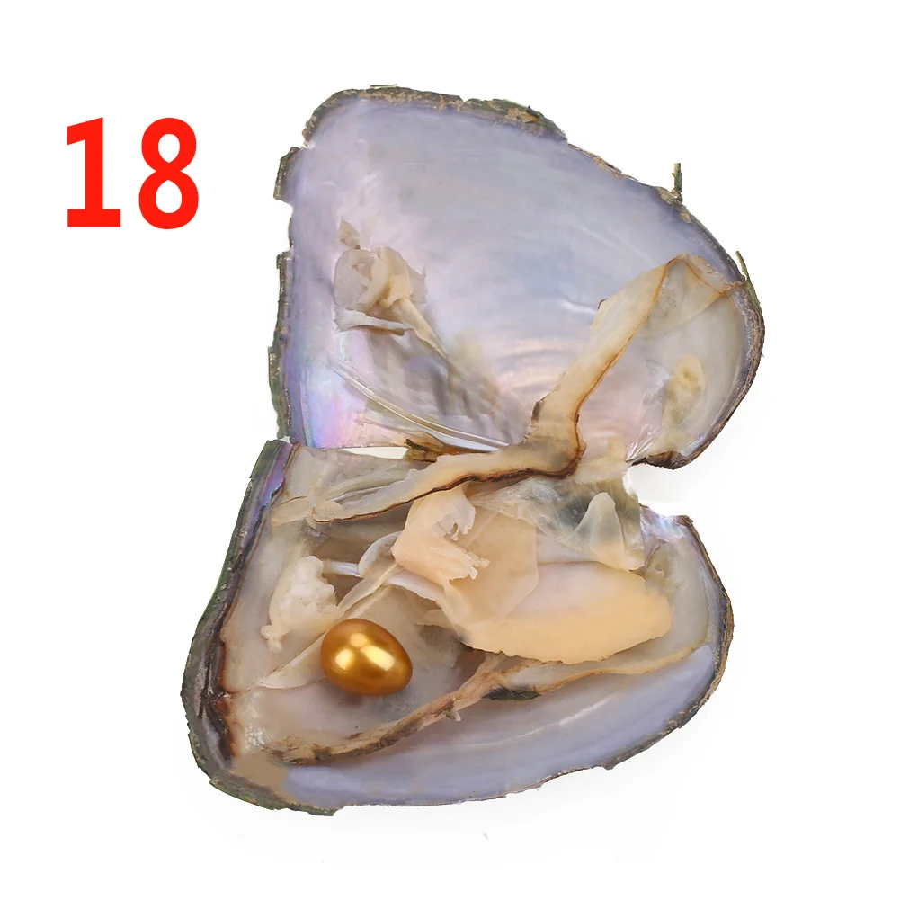 Жемчуг Love Wish 7 5*6 5*1 см рождественский подарок пресноводная устрица Мидия ракушка