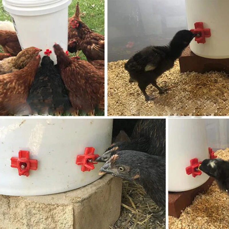 

Cross Shaped Chicken Drinker Automatic Nipple Drinker Quail Drinking Spout Pigeon dDrinker 360 Degree Bucket Drinker 4pcs/lot