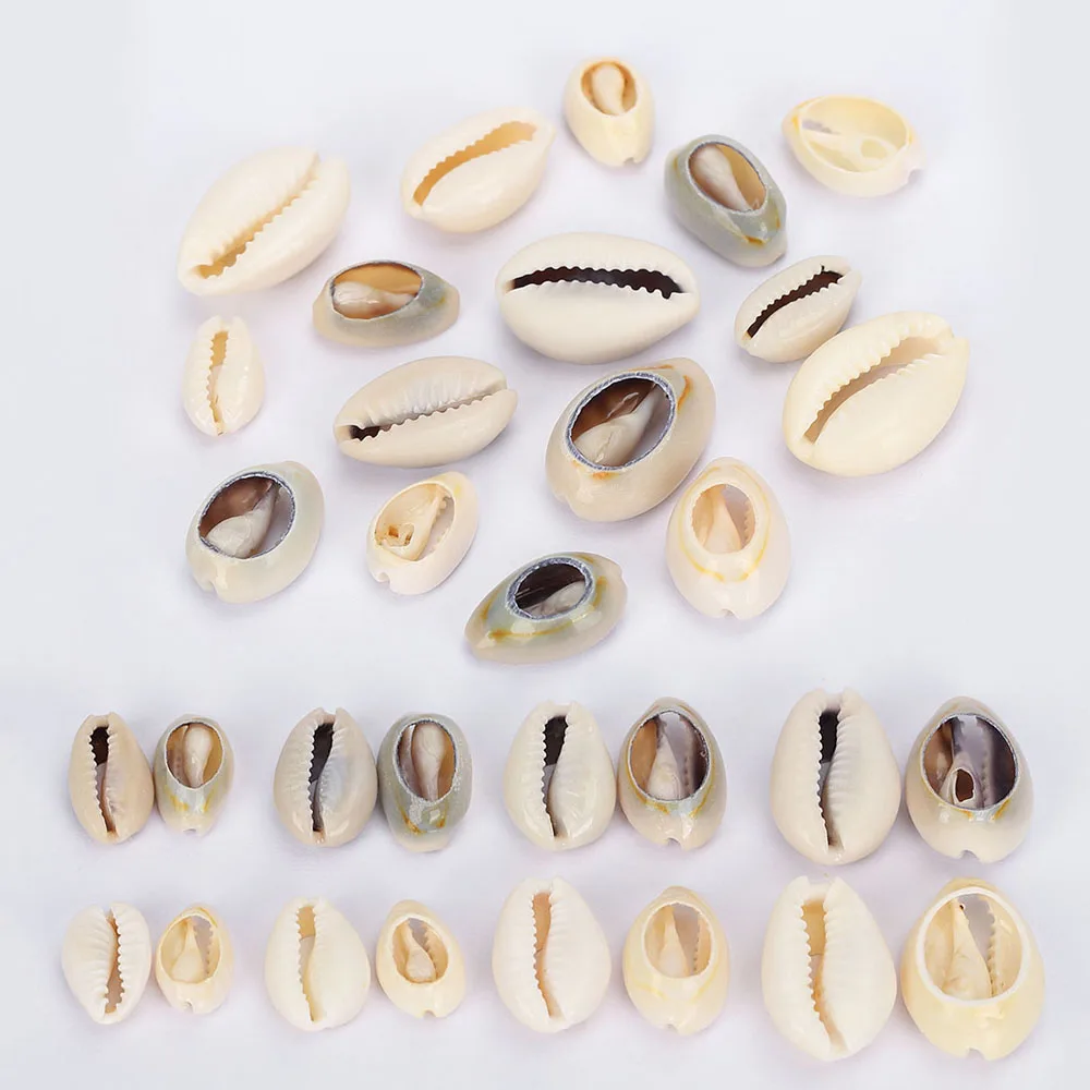 

50g/pack DIY Sea Shell Beads Conch Shellfish Charms Pendants Beads Accessories for Jewelry Making Components Necklace Bracelets