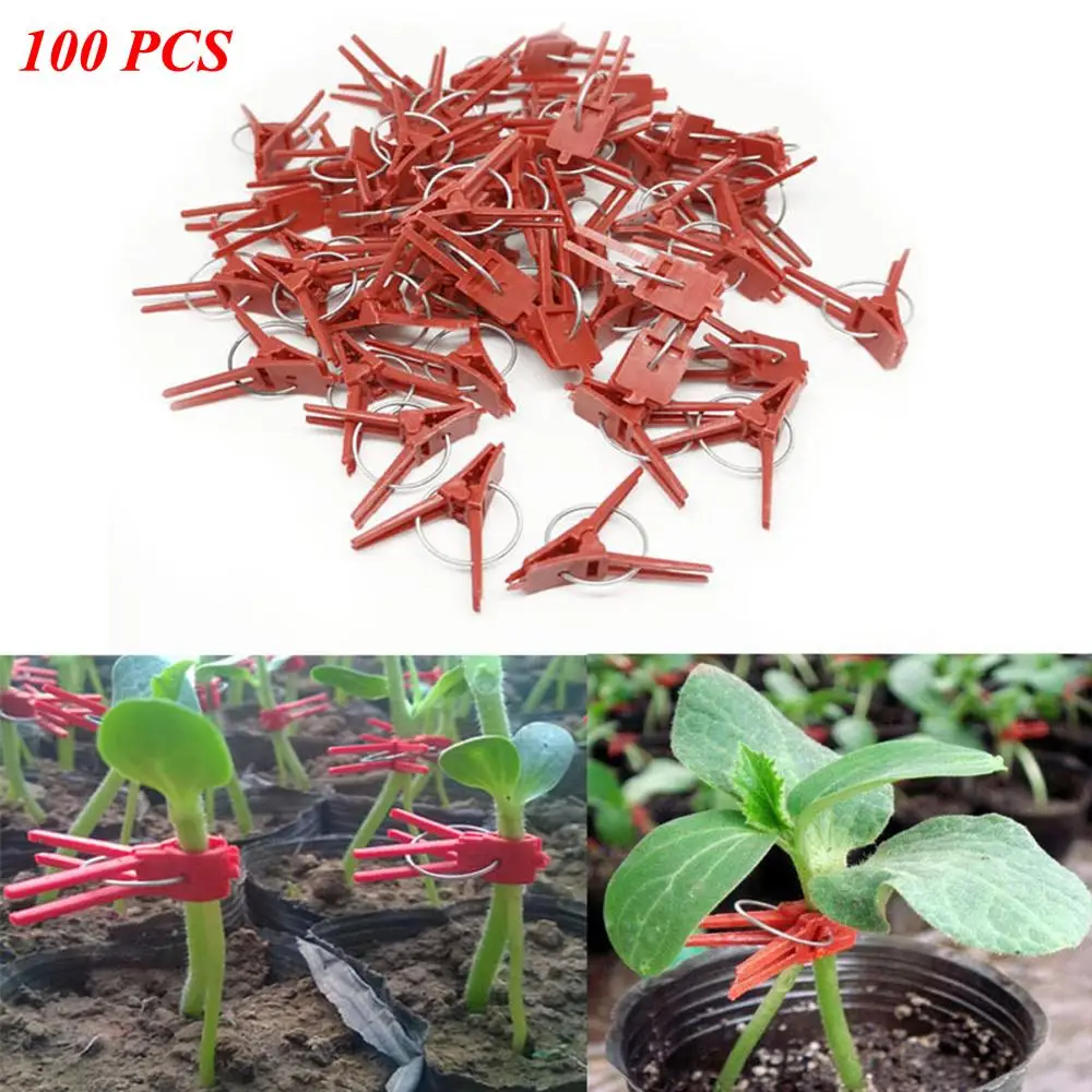 

100pcs Plant Grafting Clip Garden Vegetable Flower Seedlings Stem Support Kits Plant Support Clips Greenhouse Clip Supplies