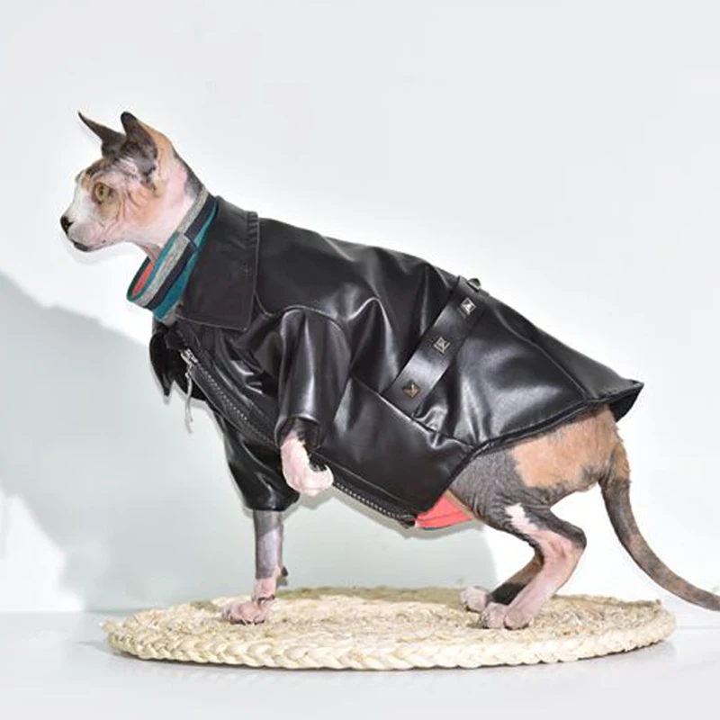 Худи с кошкой кошка Сфинкс кожаный для собак одежда толстовка Ropa Para Gato котенок