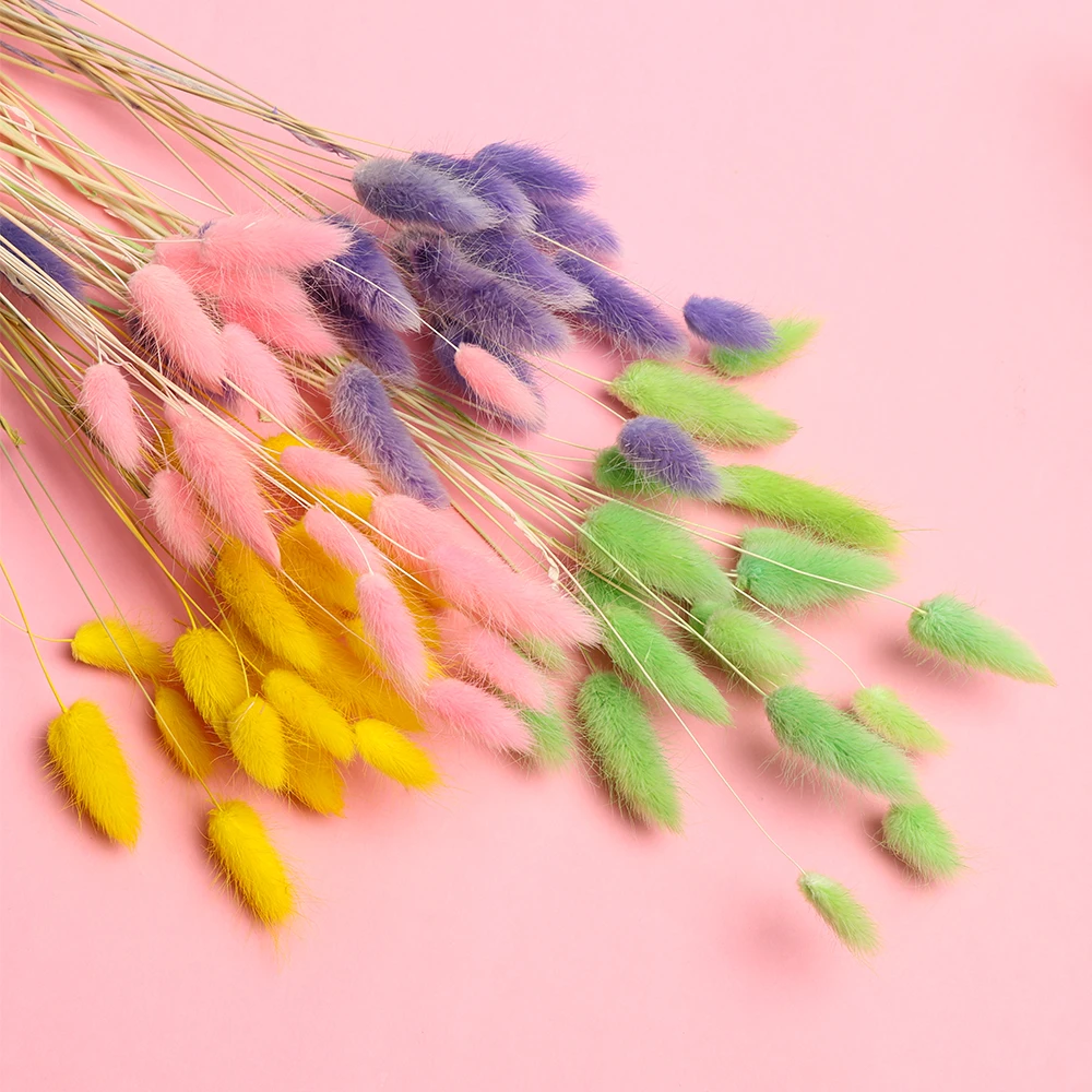 20Pcs Natural Dried Flowers Colorful Fake Rabbit Tail Grass Bouquet Long Bunches Artificial Flower Shooting Props DIY Home Decor | Дом и сад