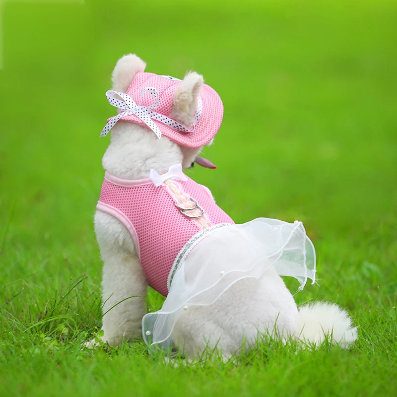 

Dog Clothes Mascotas Ropa Para Perro Ubranka Dla Psa Wedding Lolita Dress Vestido De Festa Hondenkleding Roupa Cachorro Pet