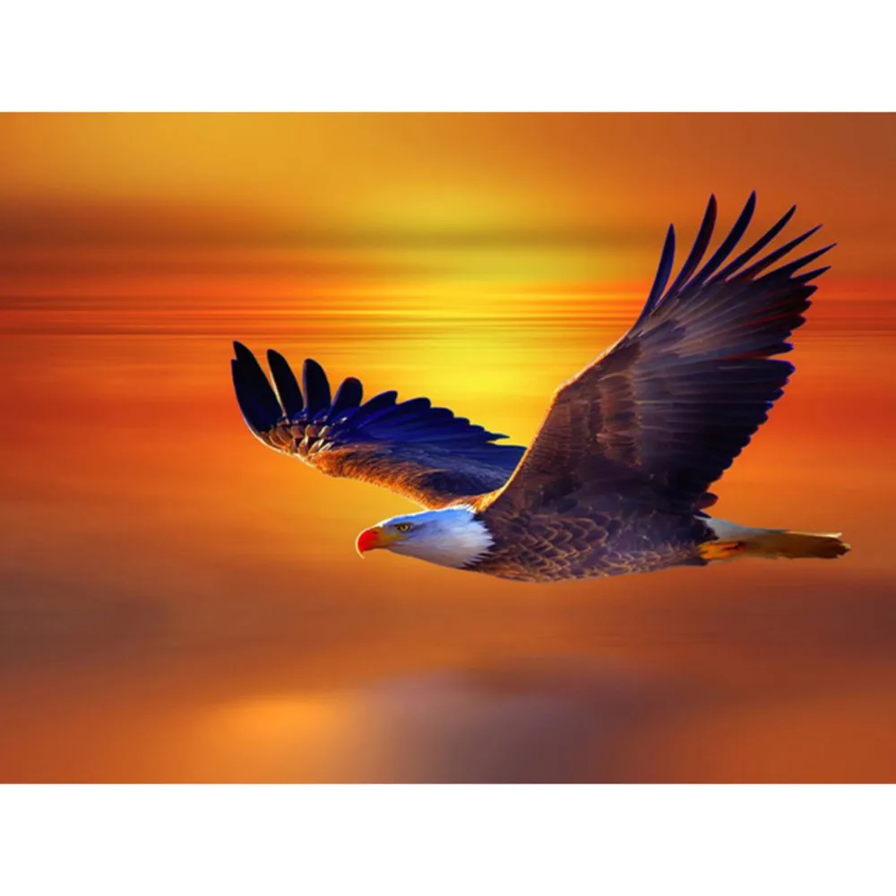 С принтом в виде орла DIY 11CT Набор для вышивания крестиком рукоделие ремесло набор