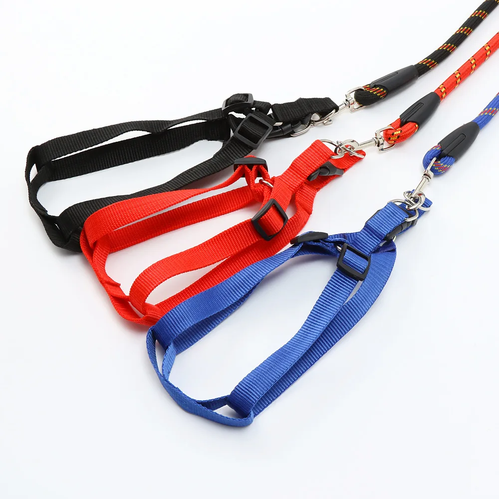 Регулируемый собака портупея цепь комплект с изображением большой кошки собаки