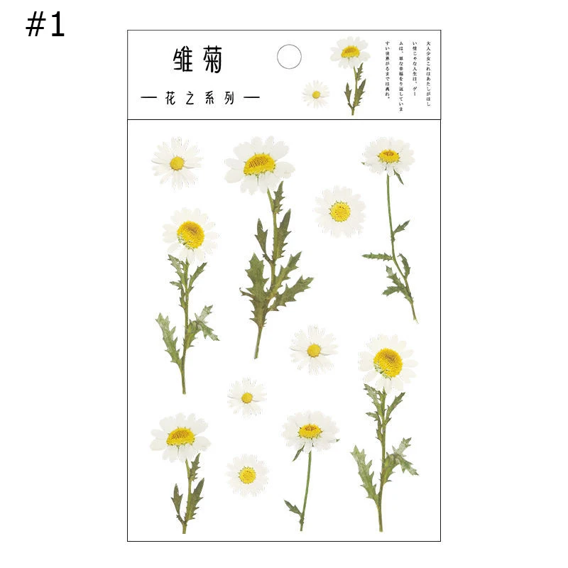 

12 Designs Natural Daisy Clover Japanese Words Stickers Transparent PET Material Flowers Leaves Plants Deco Sticker aesthetic