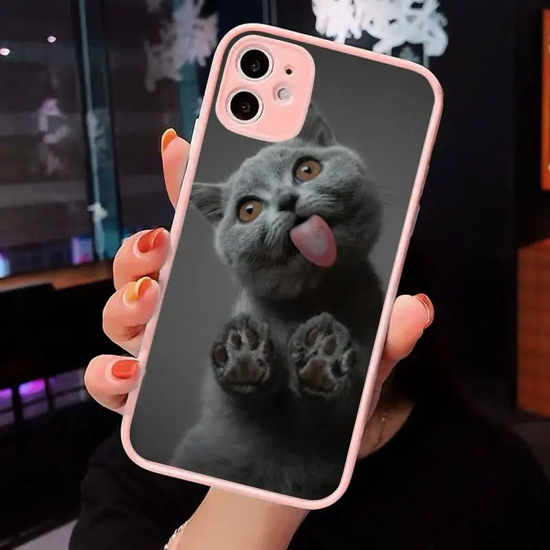 

British shorthair cat Phone Case For iPhone 12 11 Mini Pro XR XS Max 7 8 Plus X Matte transparent Pink Back Cover