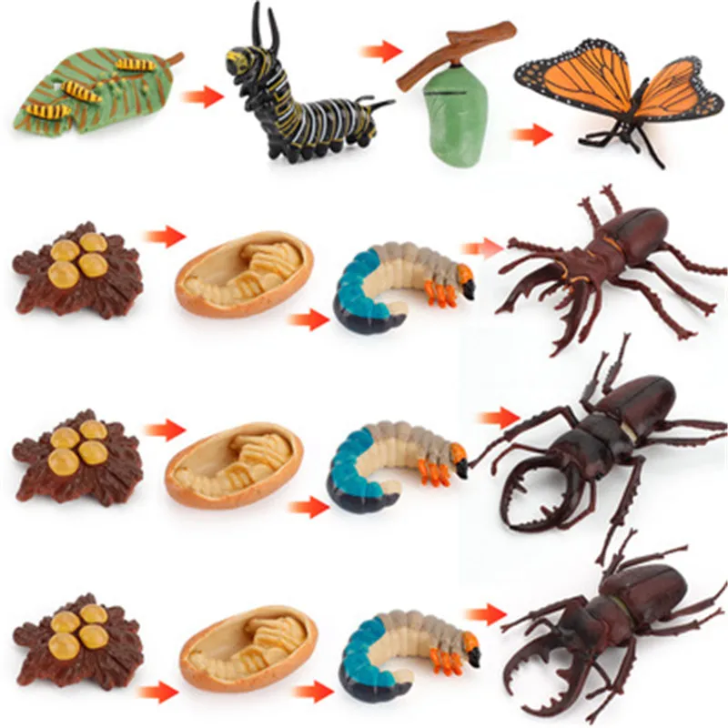 

Simulation Wild Animal Model Toy Action Figures Unicorn butterfly Growth period Educational Toy Simulation for Children Figure