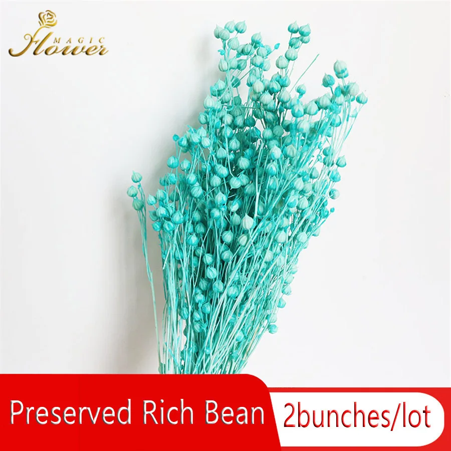 40 50 г сохраненные богатые бобы сухие натуральные перемешанные Бусины Декор День