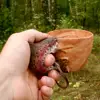 Изображение товара 4