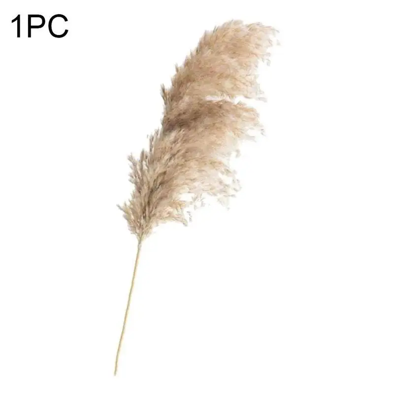 Оригинальный цвет большой тростник (a)$ Заводская распродажа сухие цветы