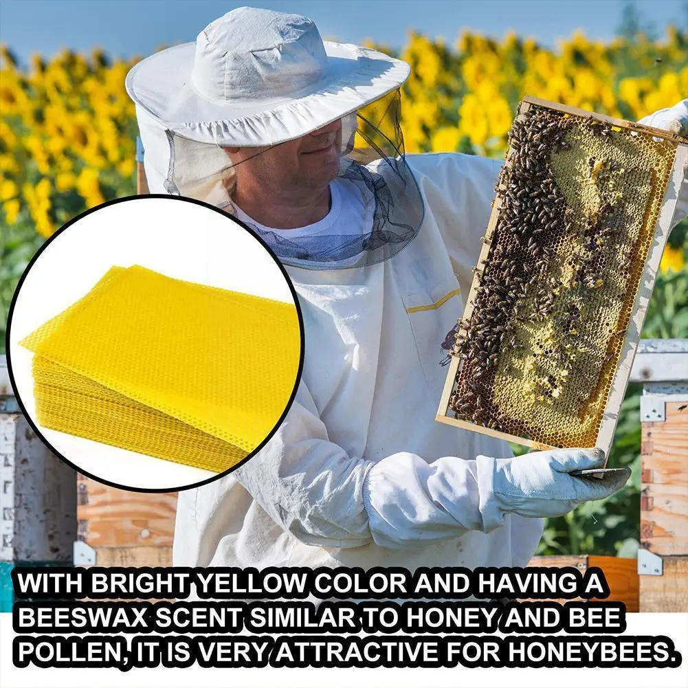

10/30pcs Natural candle material, handmade DIY honey candle for children, craft wax, honeycomb color beeswax Q7J8