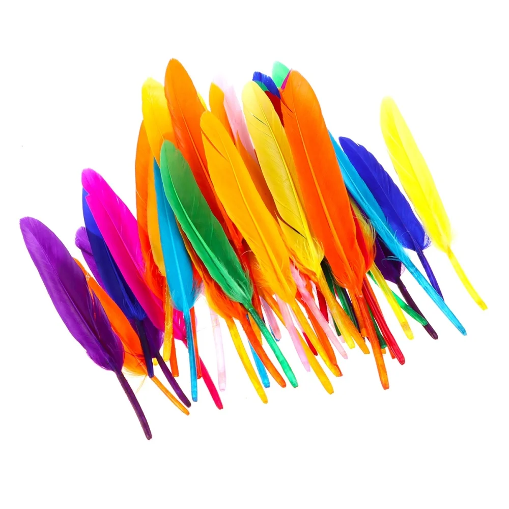 

200pcs Nature Feather Colorful Feather for DIY Craft Wedding Home Party Decoration (Random Color)