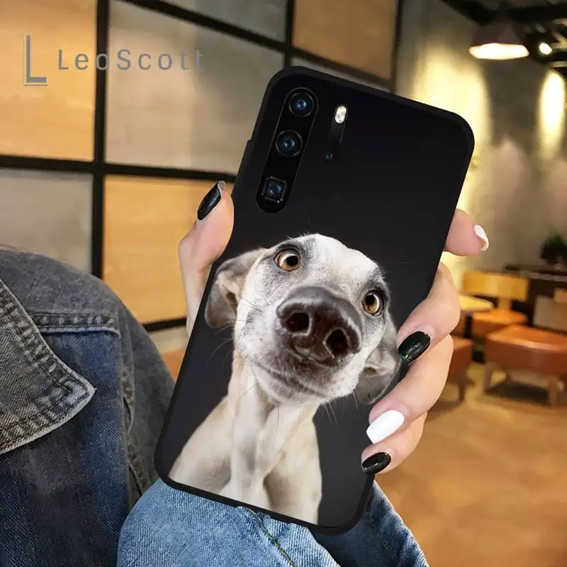 

Galgo Greyhound Dog Phone Case For Huawei honor Mate P 9 10 20 30 40 Pro 10i 7 8 a x Lite nova 5t Soft silicone funda cover