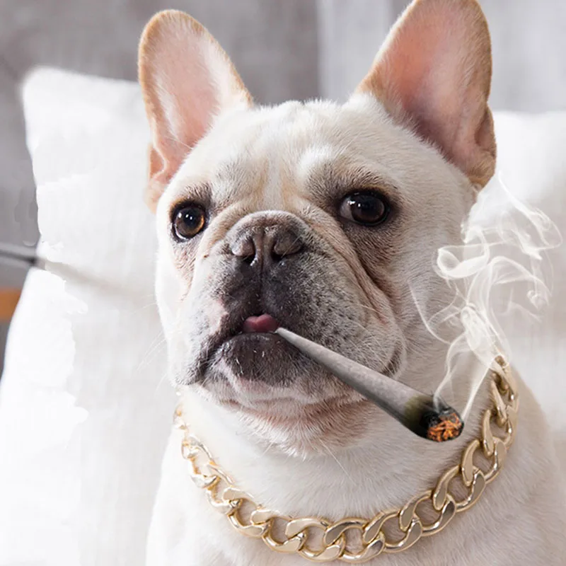 

1PC Plating Punk Dog Collar Gold Chain for Dogs Cats Puppy Small Dog Accessories Pet Supplies with 7CM Extension Chain