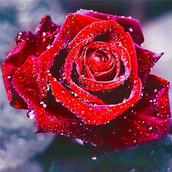 flower 4045 AZQSD Алмазная Вышивка Цветы ручная работа алмазная картина Роза картина Стразы Алмазная мозаика домашний декор ремесла подарок - Цвет: flower 4045