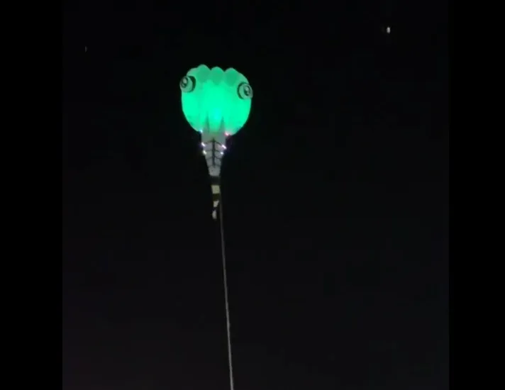 Воздушные змеи для взрослых Летающий светодиодный змей tadpole светящийся свет