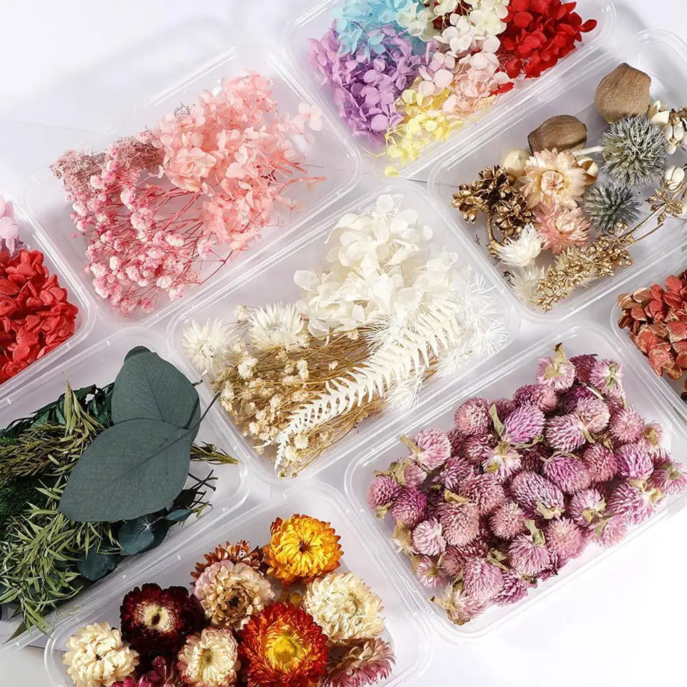 

1 Box Real Dried Flower Dry Plants For Aromatherapy Candle Epoxy Resin Pendant Necklace Jewelry Making Art Craft DIY Accessories