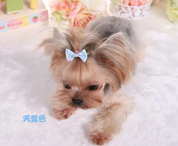 Банты для собак с резинками 100 шт. товары захвата домашних животных аксессуары