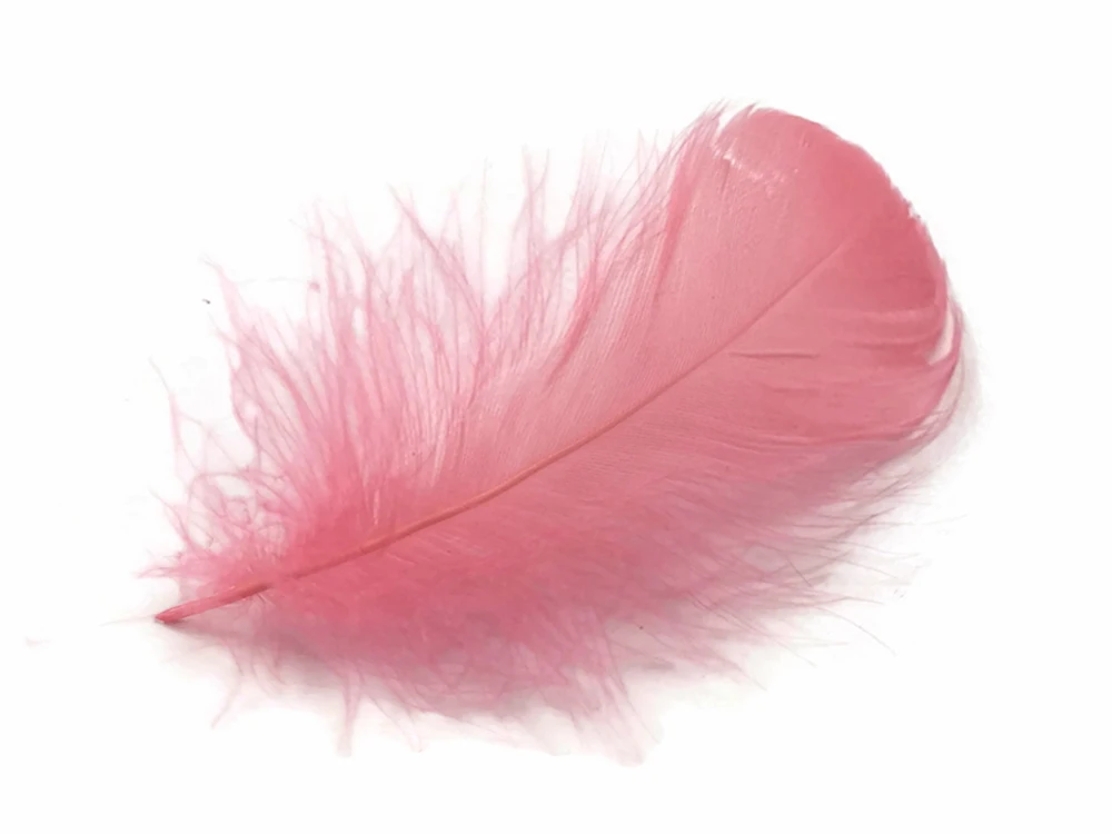 100 шт. мини вес 4 8 см гусиная кожа свободные перышки мягкие гусиные DIY проекты