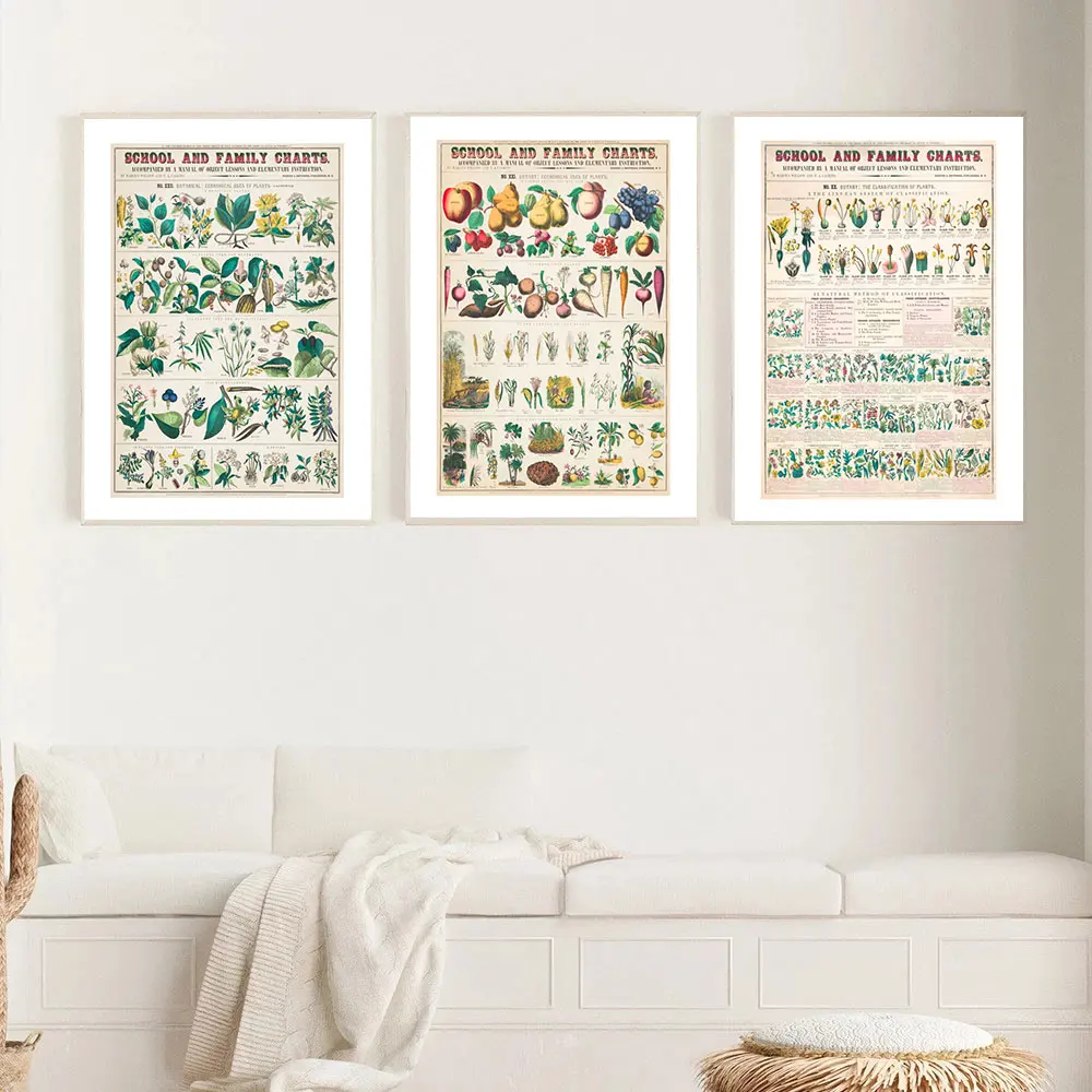 Настенная картина для школы и семьи холст плакат растение цветок иллюстрация