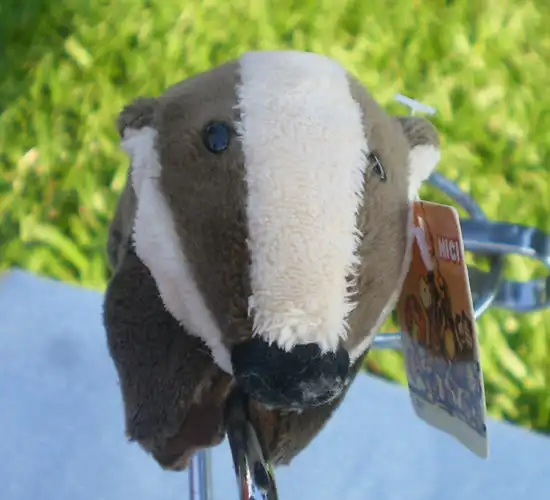 Магнит на холодильник для детей с изображением животных серого мефитина | Дом и