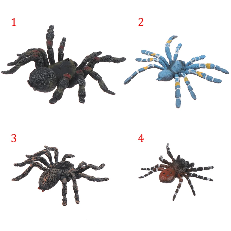 

Animal Spider Models Simulated Figures Educational Toys for Children Kids Home Decor Mini Doll Figurine Toy Gift Funny Toys