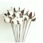 Декоративный букет сушеных цветов, натуральные ветки хлопка, маленькие цветы, стебли растений, цветы для украшения дома, свадьбы, вечеринки