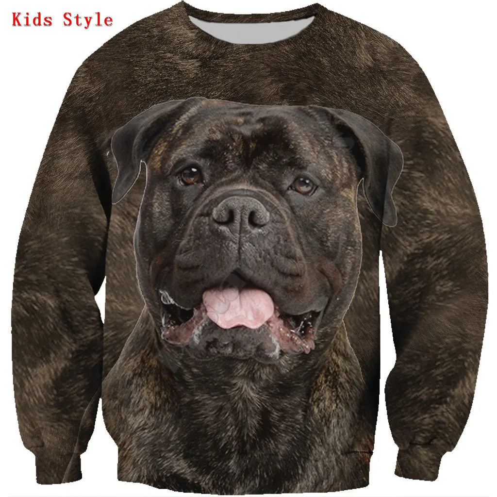 Burmilla Cat 3d printed Hoodies Pullover Boy For Girl Long Sleeve Shirts Kids Funny Animal Sweatshirt