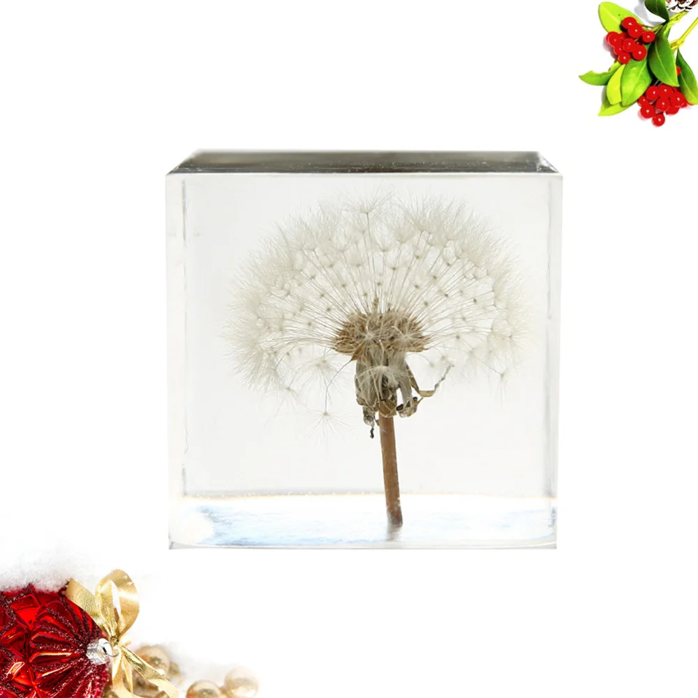 

Cube Desktop Decoration Creative Dandelion Transparent Craft Adornment Gift for Home Office