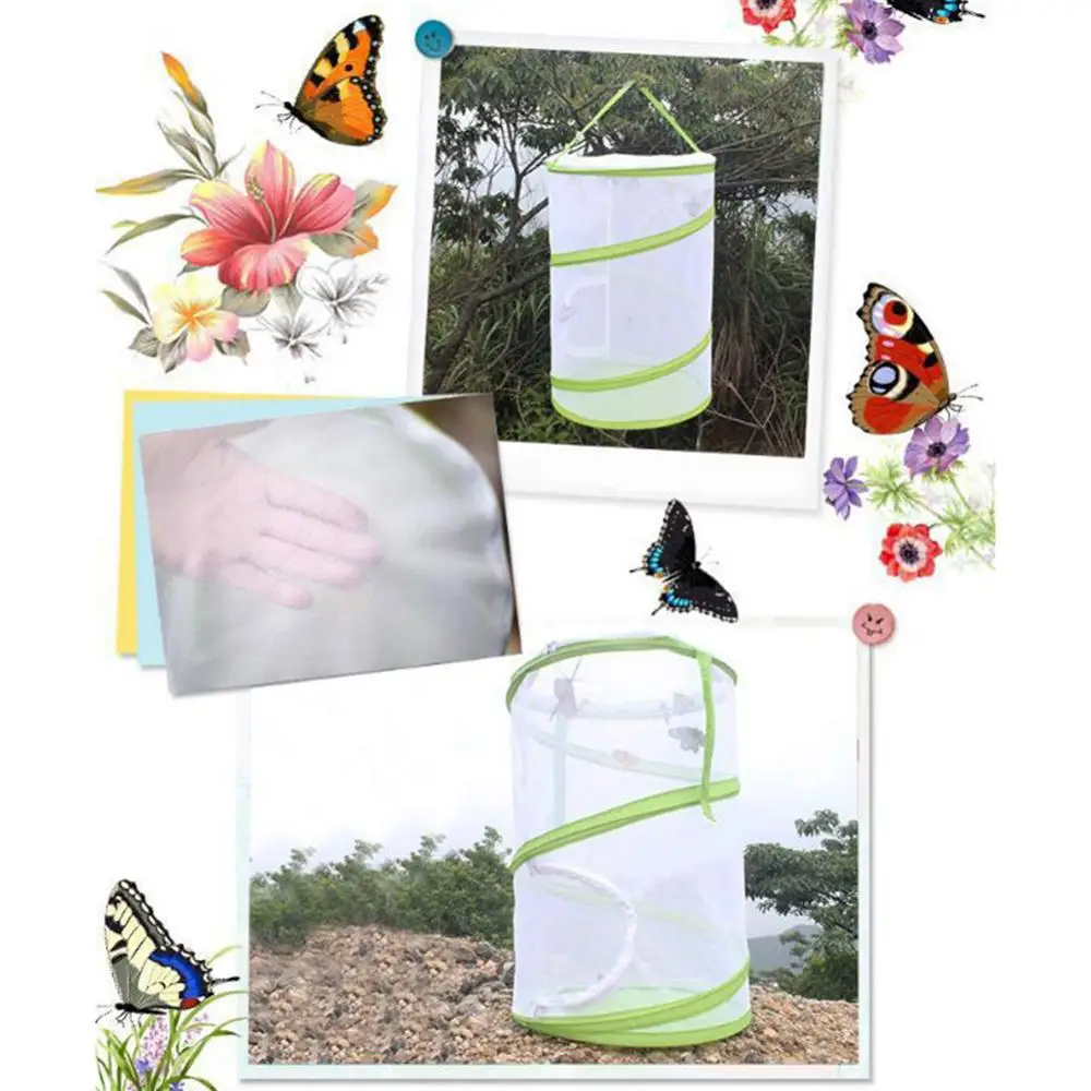 Большая сетчатая панель в виде насекомых и бабочек | Дом сад